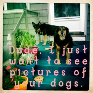 You can spare me your thoughts on Congress.  ©narrowbackslacker