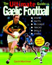 It's kind of like Quidditch, without brooms or English people. 